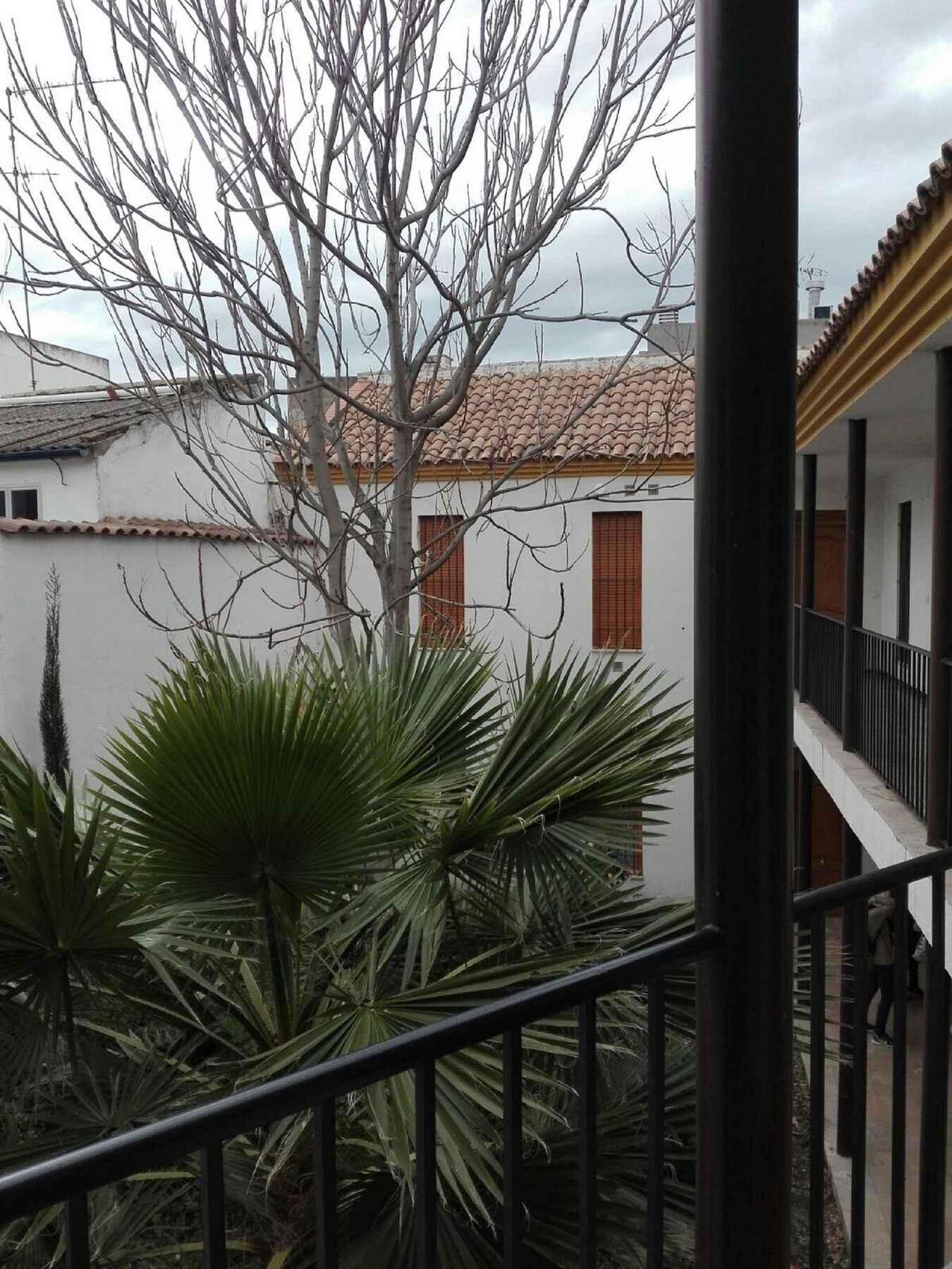 Apartamento Alfonso XII กอร์โดบา ภายนอก รูปภาพ